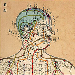 Traditional Chinese acupuncture meridian head chart