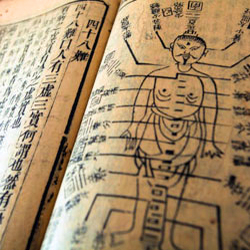 Ancient Chinese medical text with body diagram